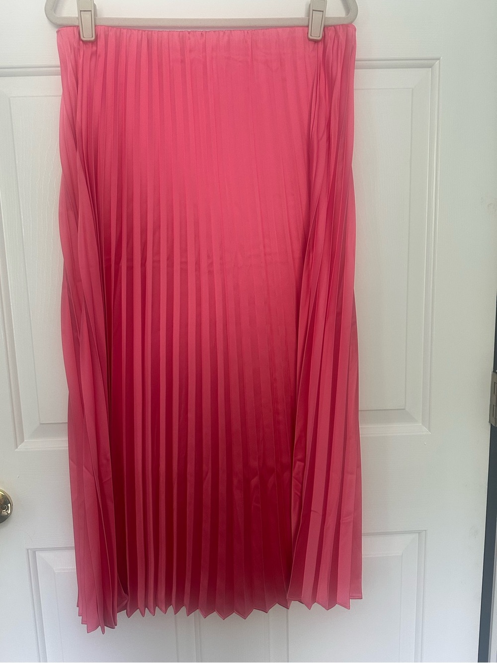 NWOT Pleated Maxi Skirt in Vibrant Pink